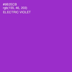 #9B2ECB - Electric Violet Color Image