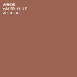#9B6351 - Au Chico Color Image