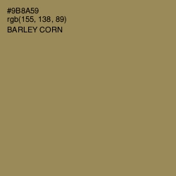 #9B8A59 - Barley Corn Color Image