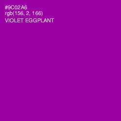 #9C02A6 - Violet Eggplant Color Image