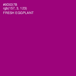 #9D037B - Fresh Eggplant Color Image