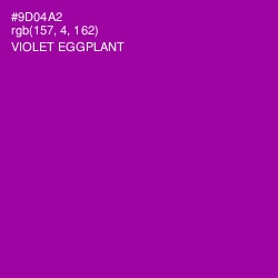#9D04A2 - Violet Eggplant Color Image