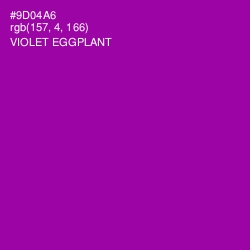#9D04A6 - Violet Eggplant Color Image