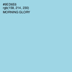 #9ED6E6 - Morning Glory Color Image