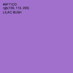 #9F71CD - Lilac Bush Color Image