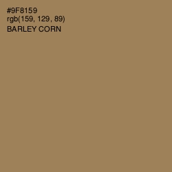 #9F8159 - Barley Corn Color Image