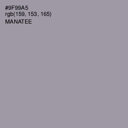 #9F99A5 - Manatee Color Image