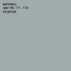 #9FABAC - Pewter Color Image