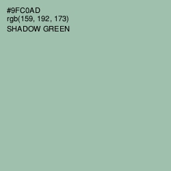 #9FC0AD - Shadow Green Color Image