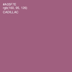 #A05F7E - Cadillac Color Image