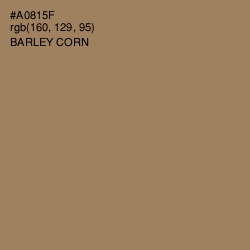 #A0815F - Barley Corn Color Image