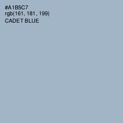 #A1B5C7 - Cadet Blue Color Image