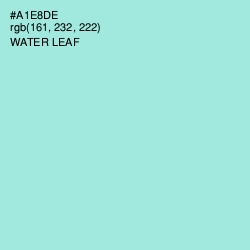 #A1E8DE - Water Leaf Color Image