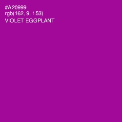 #A20999 - Violet Eggplant Color Image