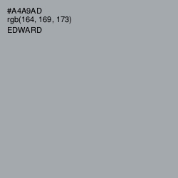 #A4A9AD - Edward Color Image