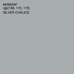 #A8ADAF - Silver Chalice Color Image