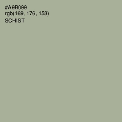 #A9B099 - Schist Color Image