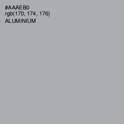 #AAAEB0 - Aluminium Color Image