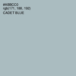 #ABBCC0 - Cadet Blue Color Image