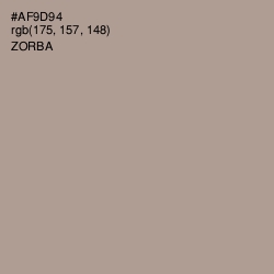 #AF9D94 - Zorba Color Image