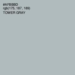 #AFBBBD - Tower Gray Color Image