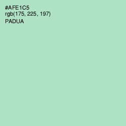 #AFE1C5 - Padua Color Image
