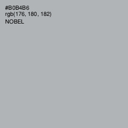 #B0B4B6 - Nobel Color Image