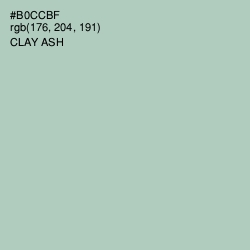 #B0CCBF - Clay Ash Color Image
