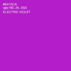 #B41DCA - Electric Violet Color Image