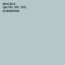 #B4C8CA - Submarine Color Image