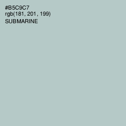 #B5C9C7 - Submarine Color Image