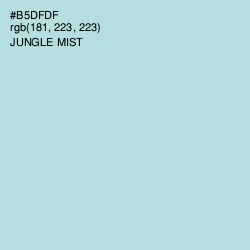 #B5DFDF - Jungle Mist Color Image