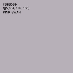 #B8B0B9 - Pink Swan Color Image