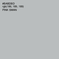 #BABDBD - Pink Swan Color Image