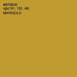 #BF9B30 - Marigold Color Image