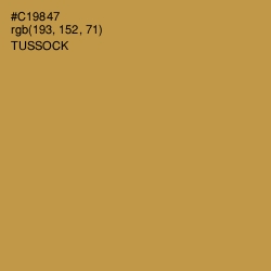 #C19847 - Tussock Color Image