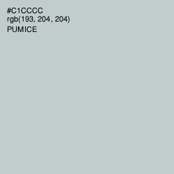 #C1CCCC - Pumice Color Image