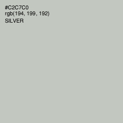 #C2C7C0 - Silver Color Image
