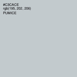 #C3CACE - Pumice Color Image