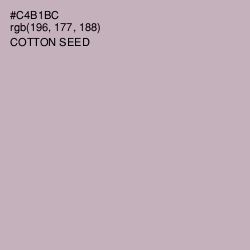 #C4B1BC - Cotton Seed Color Image