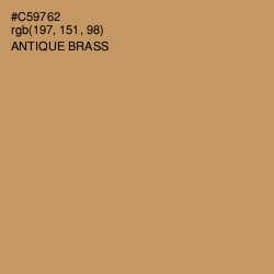 #C59762 - Antique Brass Color Image