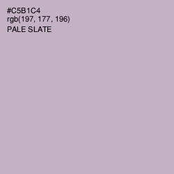 #C5B1C4 - Pale Slate Color Image