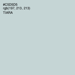 #C5D5D5 - Tiara Color Image