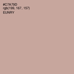 #C7A79D - Eunry Color Image
