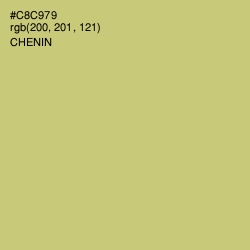 #C8C979 - Chenin Color Image