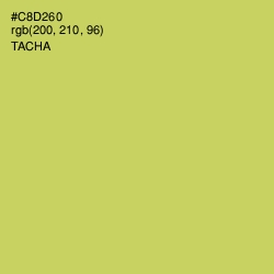 #C8D260 - Tacha Color Image