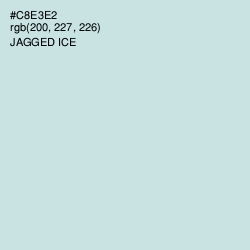 #C8E3E2 - Jagged Ice Color Image