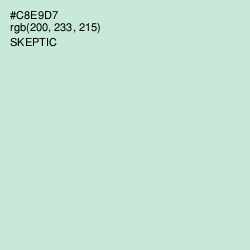 #C8E9D7 - Skeptic Color Image