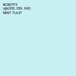 #C8EFF2 - Mint Tulip Color Image