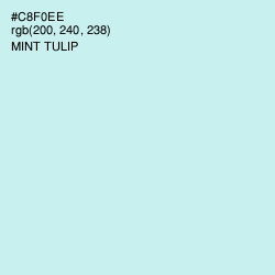 #C8F0EE - Mint Tulip Color Image
